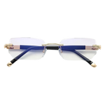Vision Pro