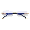 Vision Pro